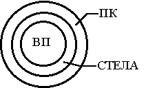 какое строение имеет побег