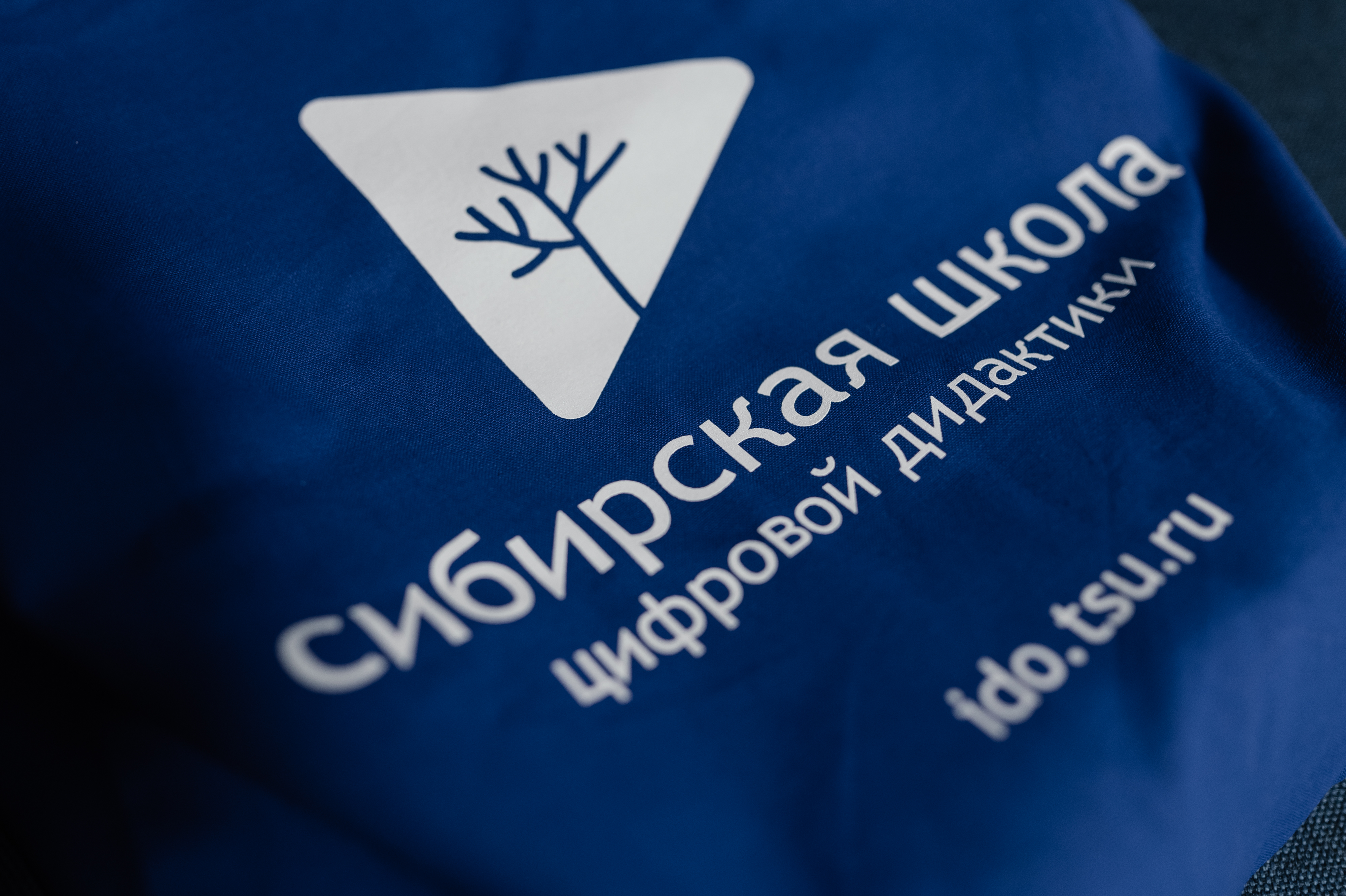 Сибирская школа цифровой дидактики